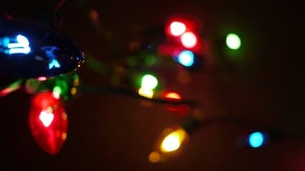 Don't Let The Holiday Season Disrupt Your Lead Flow