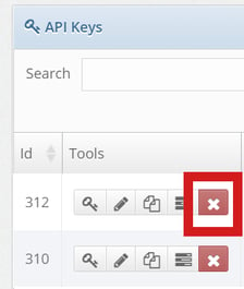 API Key Delete