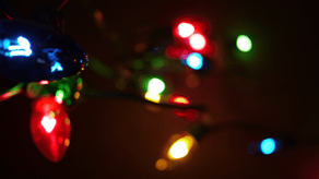 December 2014 Newsletter (Part 2)