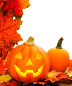 November 2014 Newsletter (Part 1)
